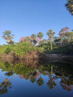 pantanal, joyaux de la région centre-ouest du brésil