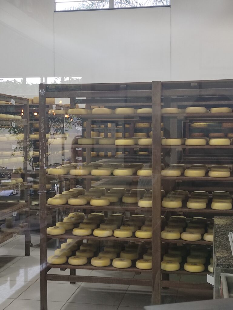 fromage de la Serra da Canastra