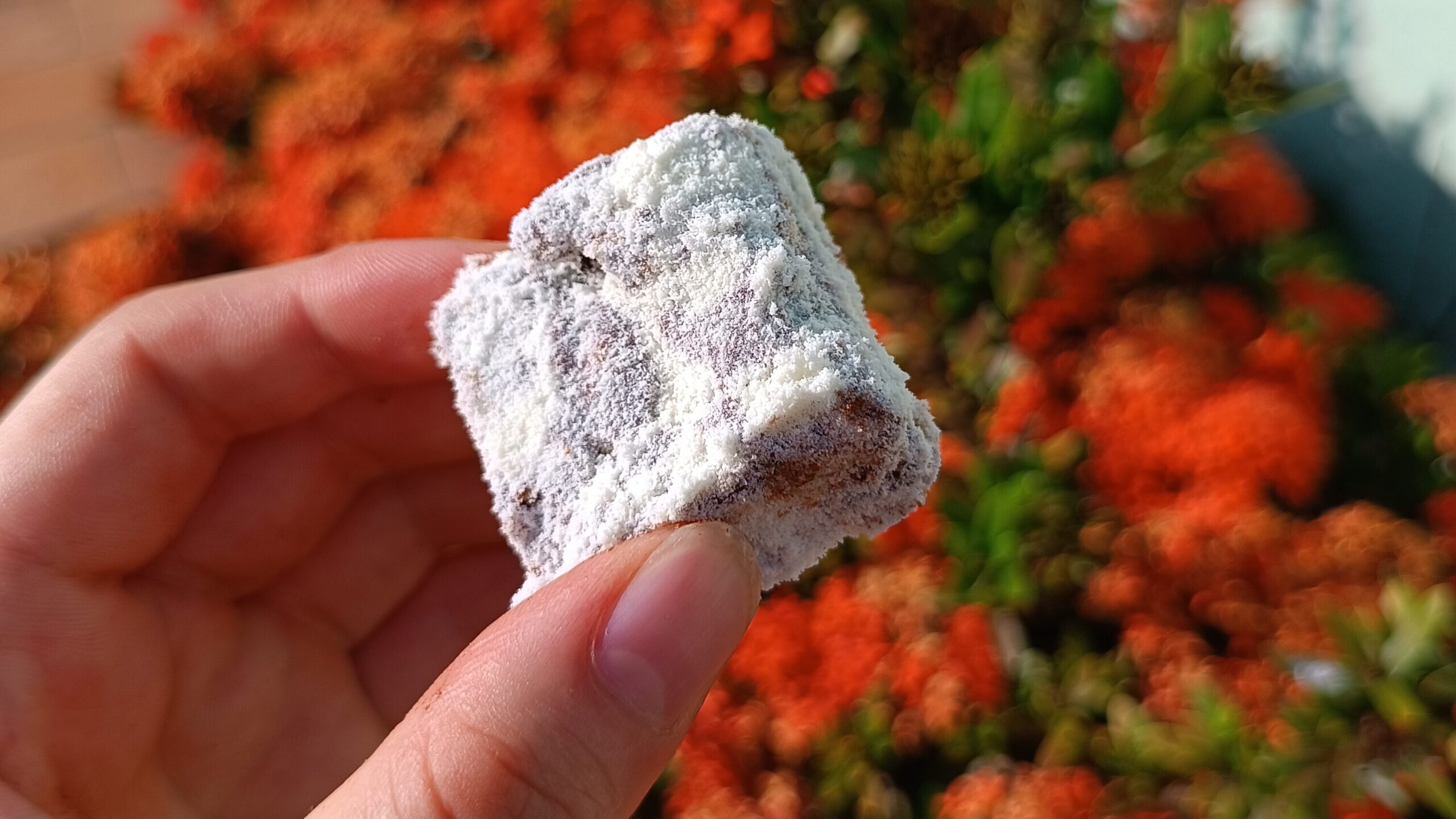 Palha italiana au chocolat enrobée de lait en poudre, sur un fond de fleurs rouges du jardin