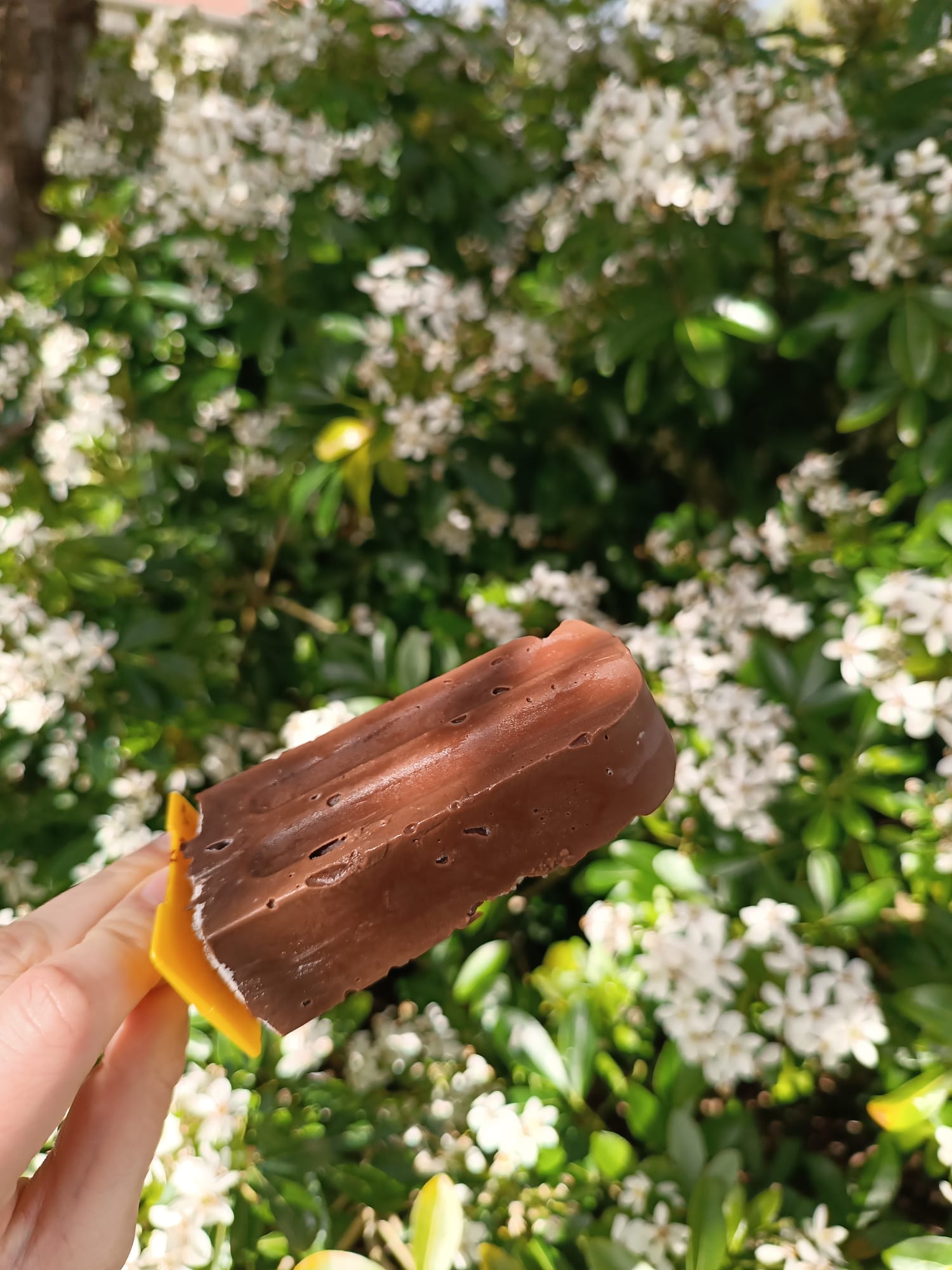 Esquimaux au chocolat