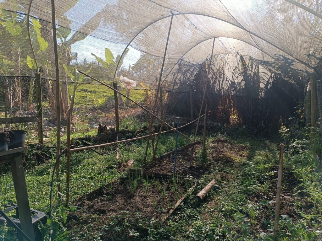 potager en permaculture